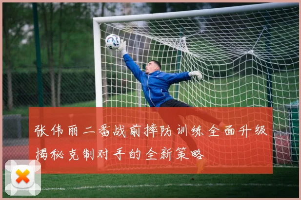 张伟丽二番战前摔防训练全面升级揭秘克制对手的全新策略